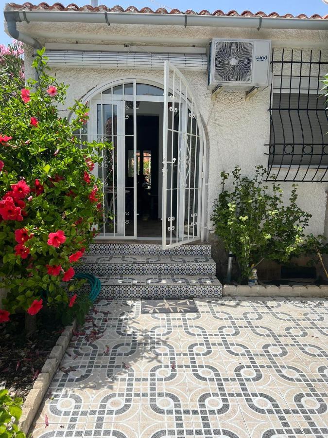 Holiday Apartments Torrevieja Zewnętrze zdjęcie