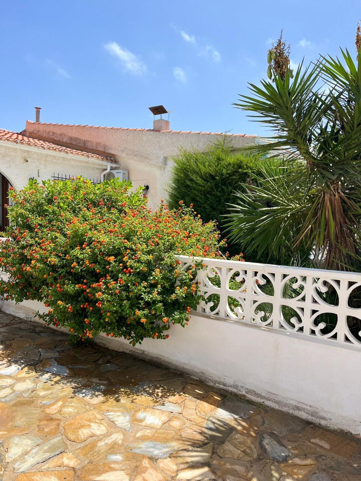 Holiday Apartments Torrevieja Zewnętrze zdjęcie