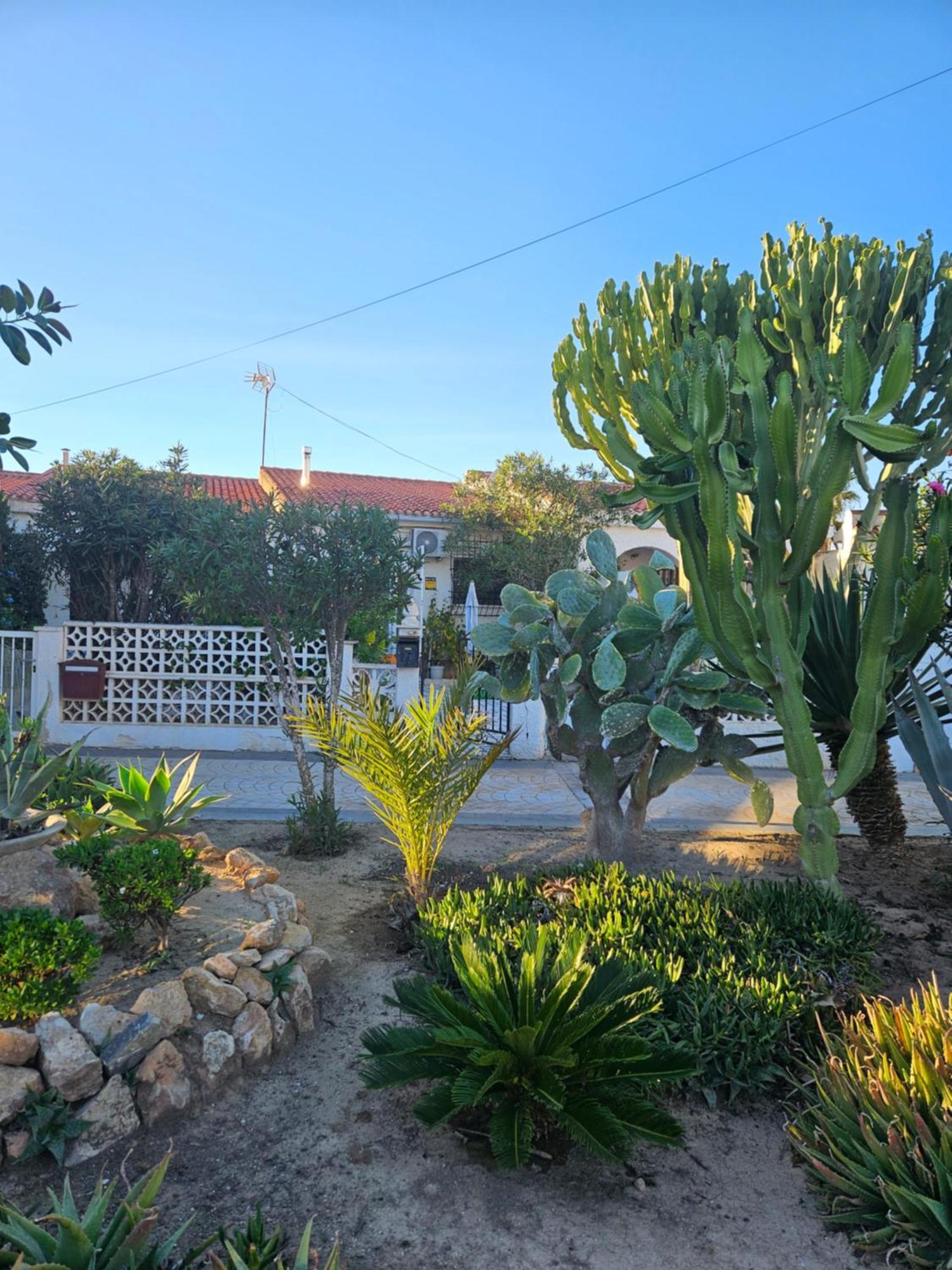 Holiday Apartments Torrevieja Zewnętrze zdjęcie