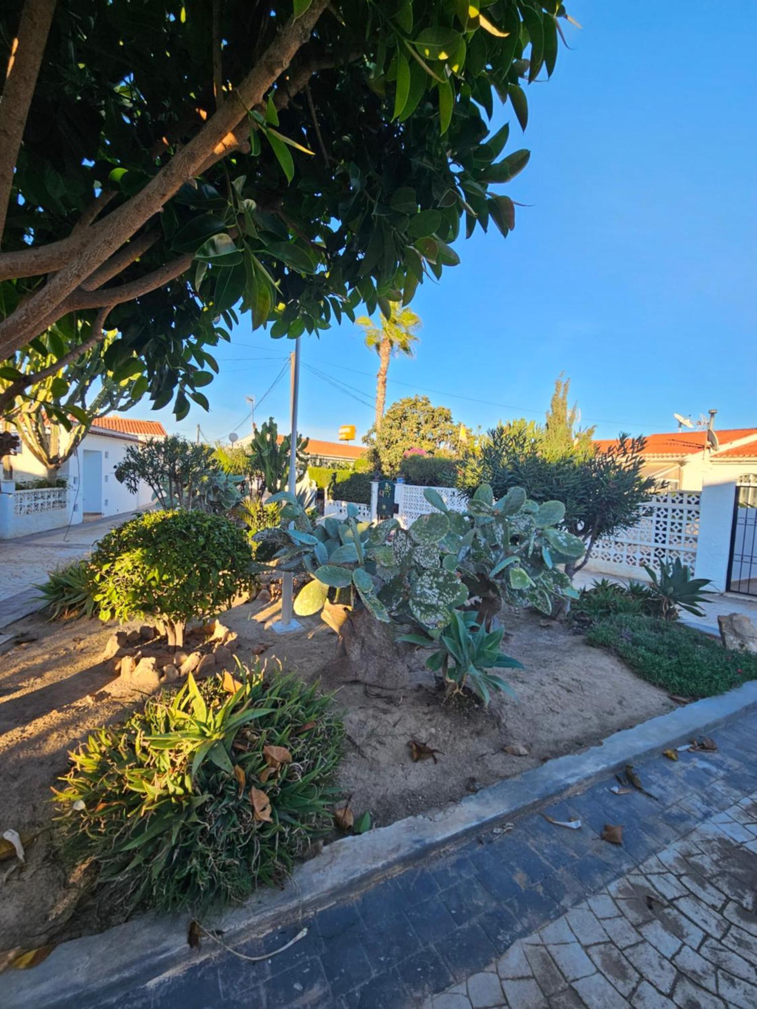 Holiday Apartments Torrevieja Zewnętrze zdjęcie