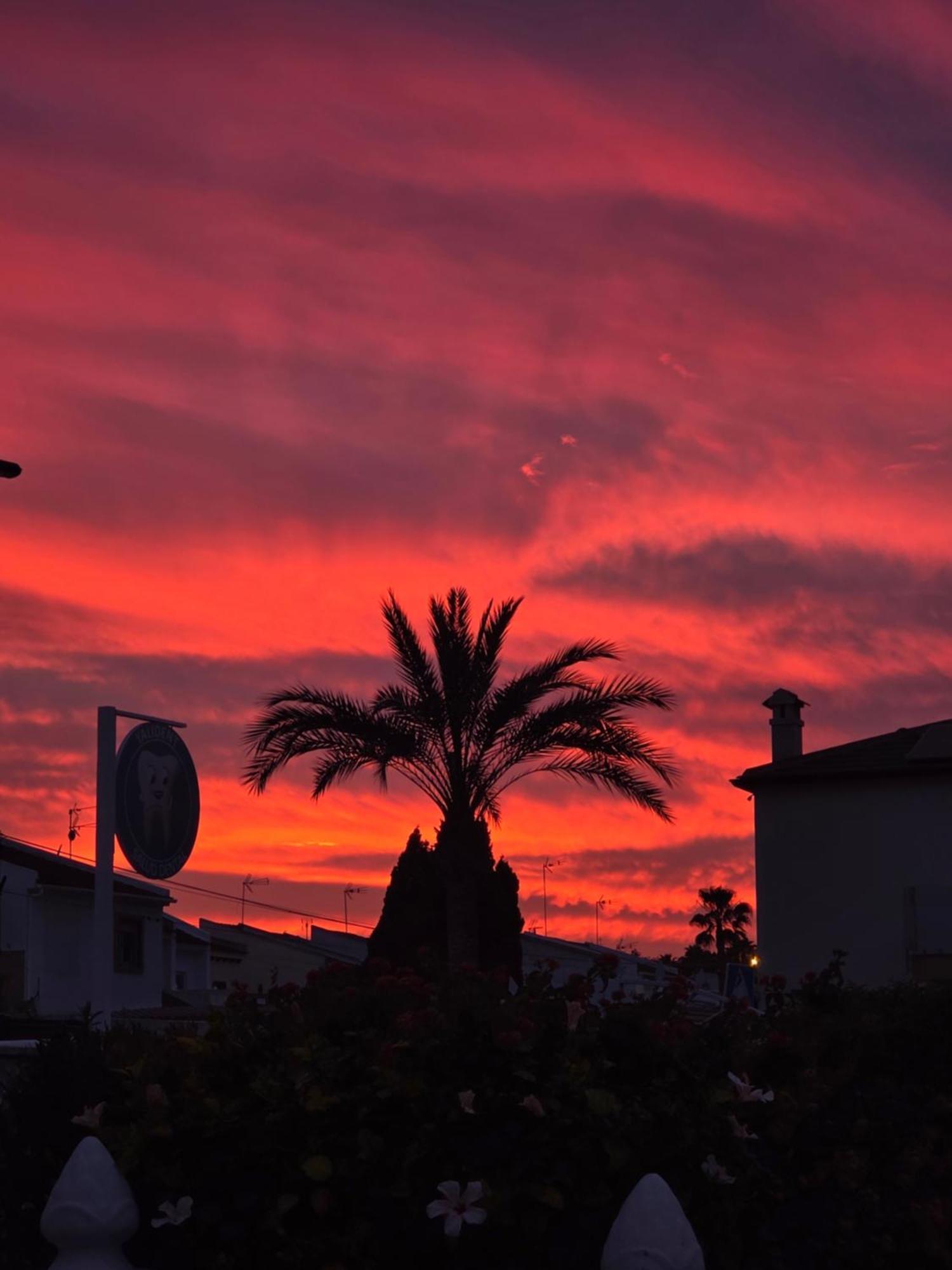 Holiday Apartments Torrevieja Zewnętrze zdjęcie